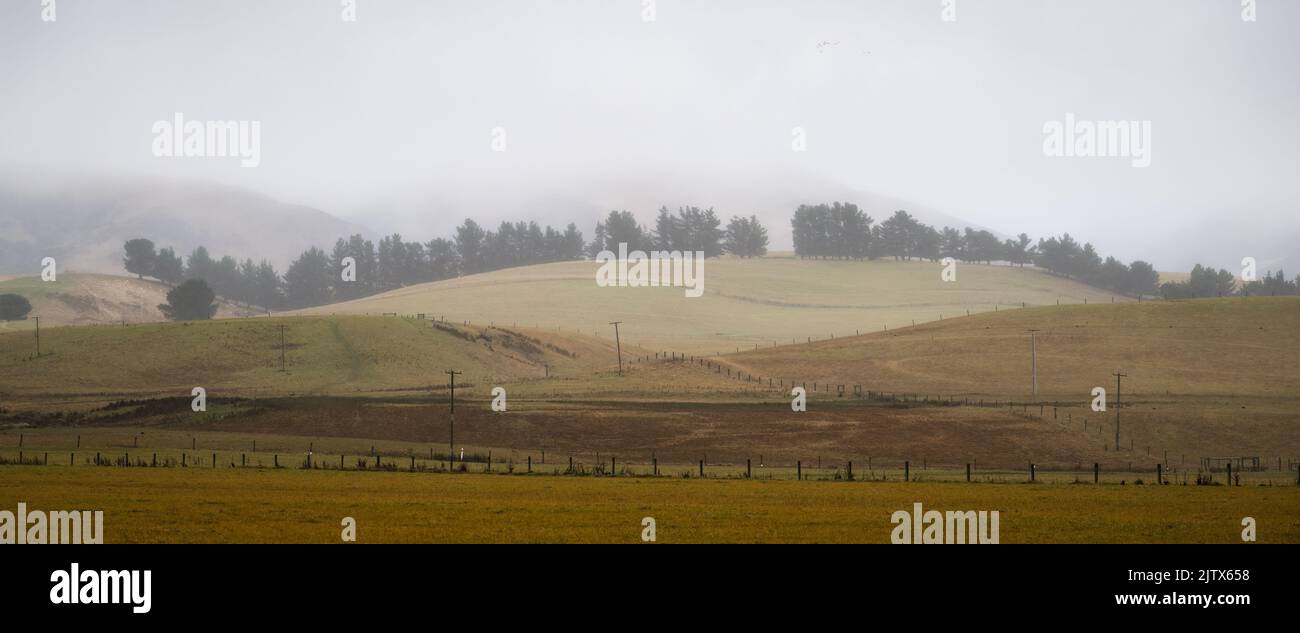 Rolling countryside of Central Otago in the fog Stock Photo