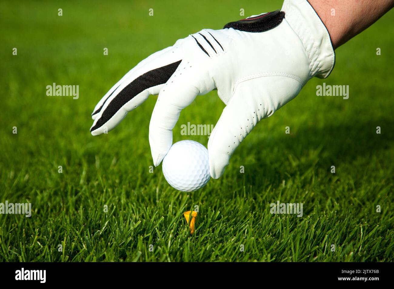 placing golf ball on tee Stock Photo Alamy