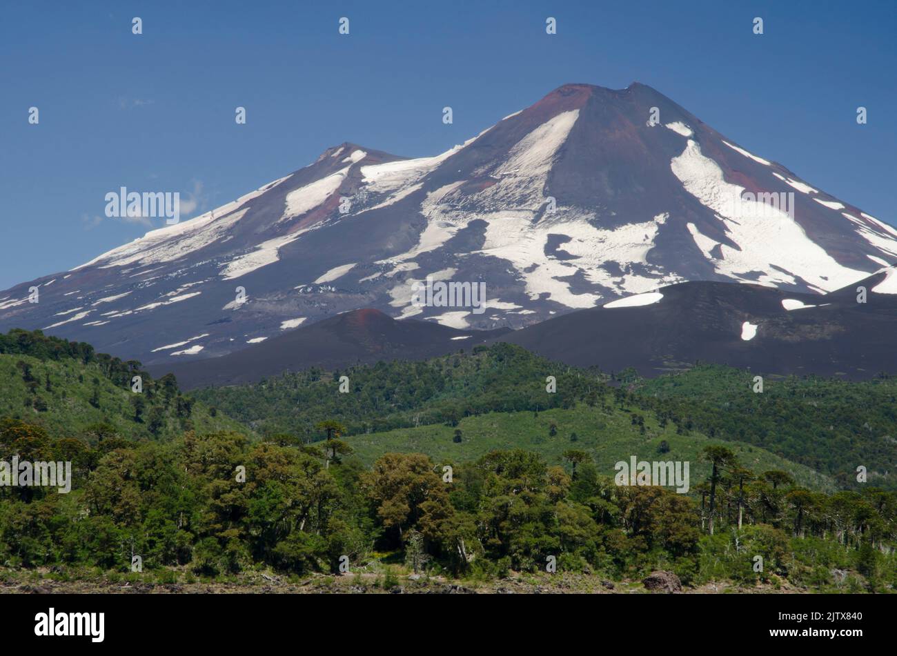 Llaima volcano. Conguillio National Park. Araucania Region. Chile Stock ...