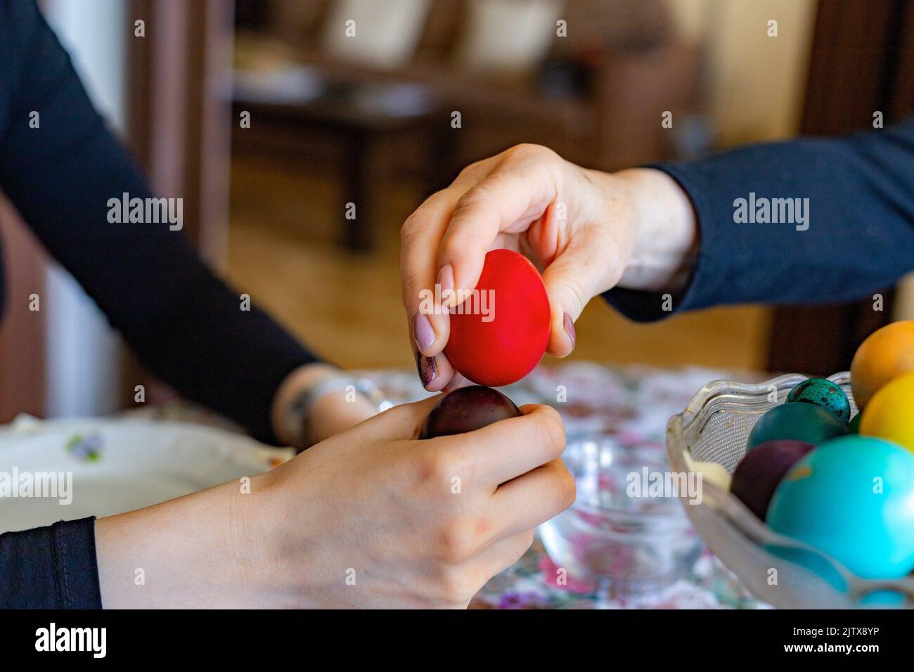 Hands Knocking Easter Eggs. Fight game seasonal tradition. Stock Photo