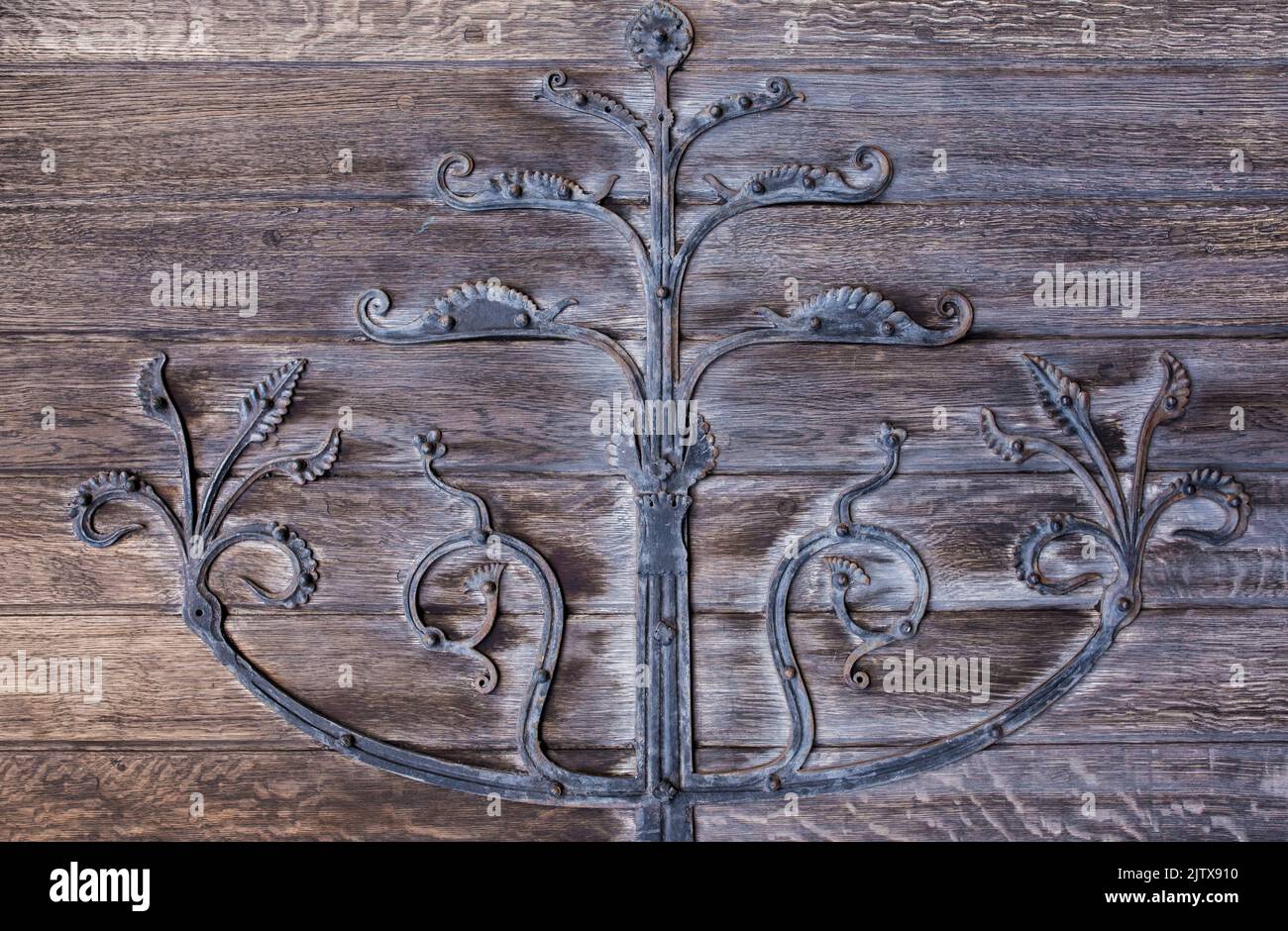 Christ Church Cathedral ground door, Dublin, Ireland. Decorated hinges detail. Stock Photo