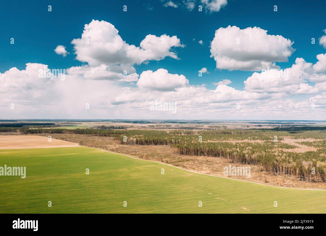 Countryside rural field landscape under scenic spring sky with white fluffy clouds. Agricultural landscape green field in spring season. Aerial view Stock Photo