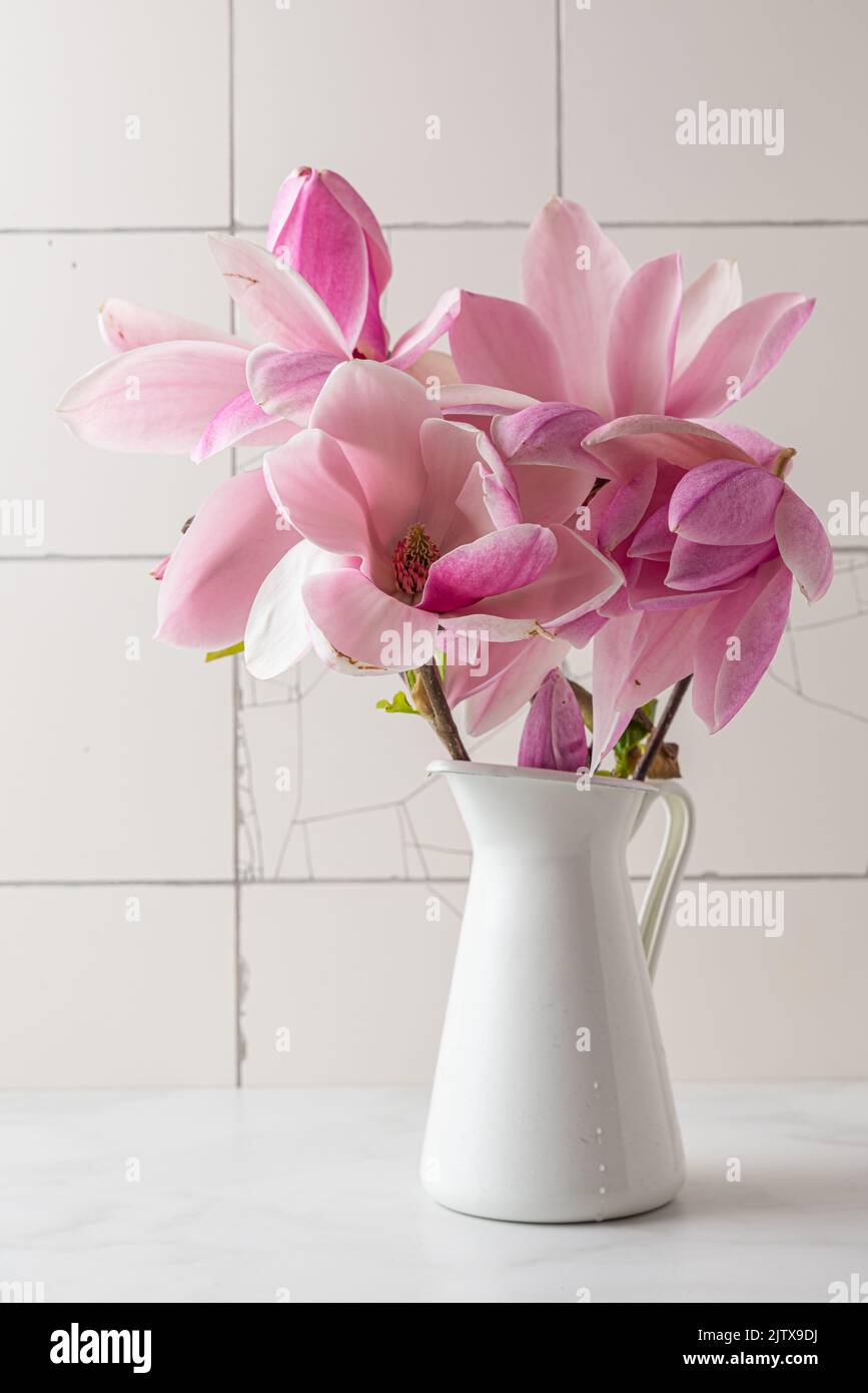 Still life with pink magnolia flowers in vase on white tile background. Vertical orientation. Wedding or holiday concept Stock Photo