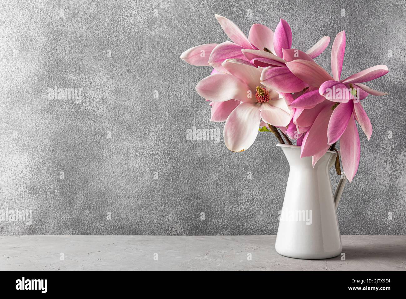Still life with pink magnolia flowers in vase on gray concrete background with copy space. Wedding or holiday concept Stock Photo