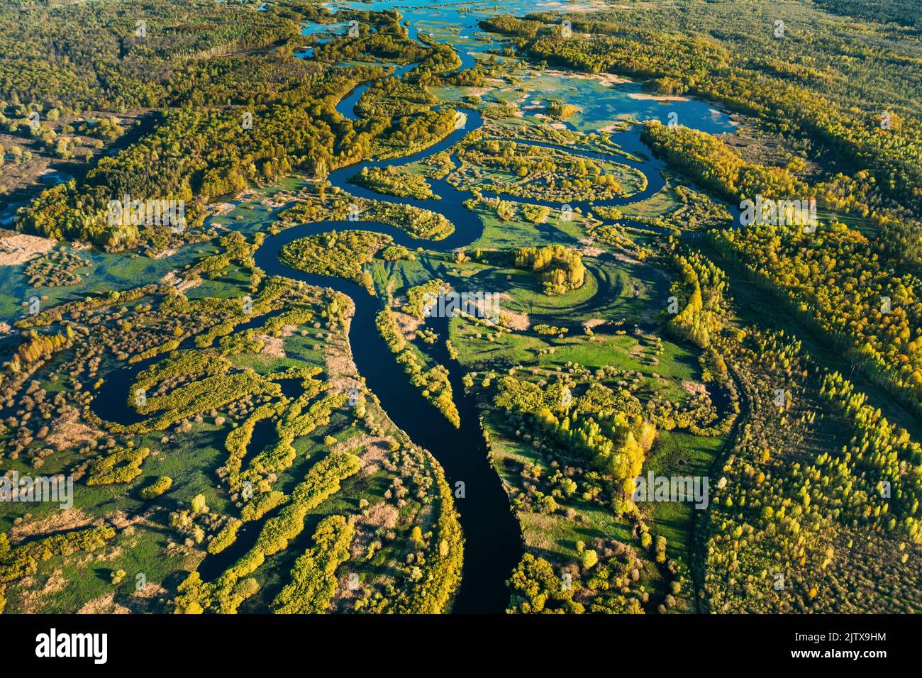 Aerial View Green Forest Woods And River Landscape In Sunny Spring Summer Day. Top View Of Nature, Bird's Eye View. Trees Standing In Water During Stock Photo