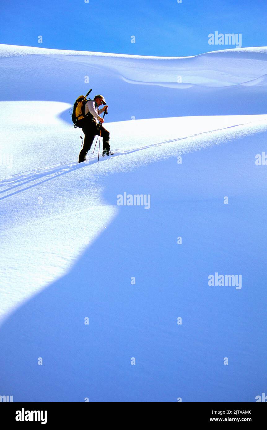 A man, 65, skis in British Columbia, Canada. Stock Photo