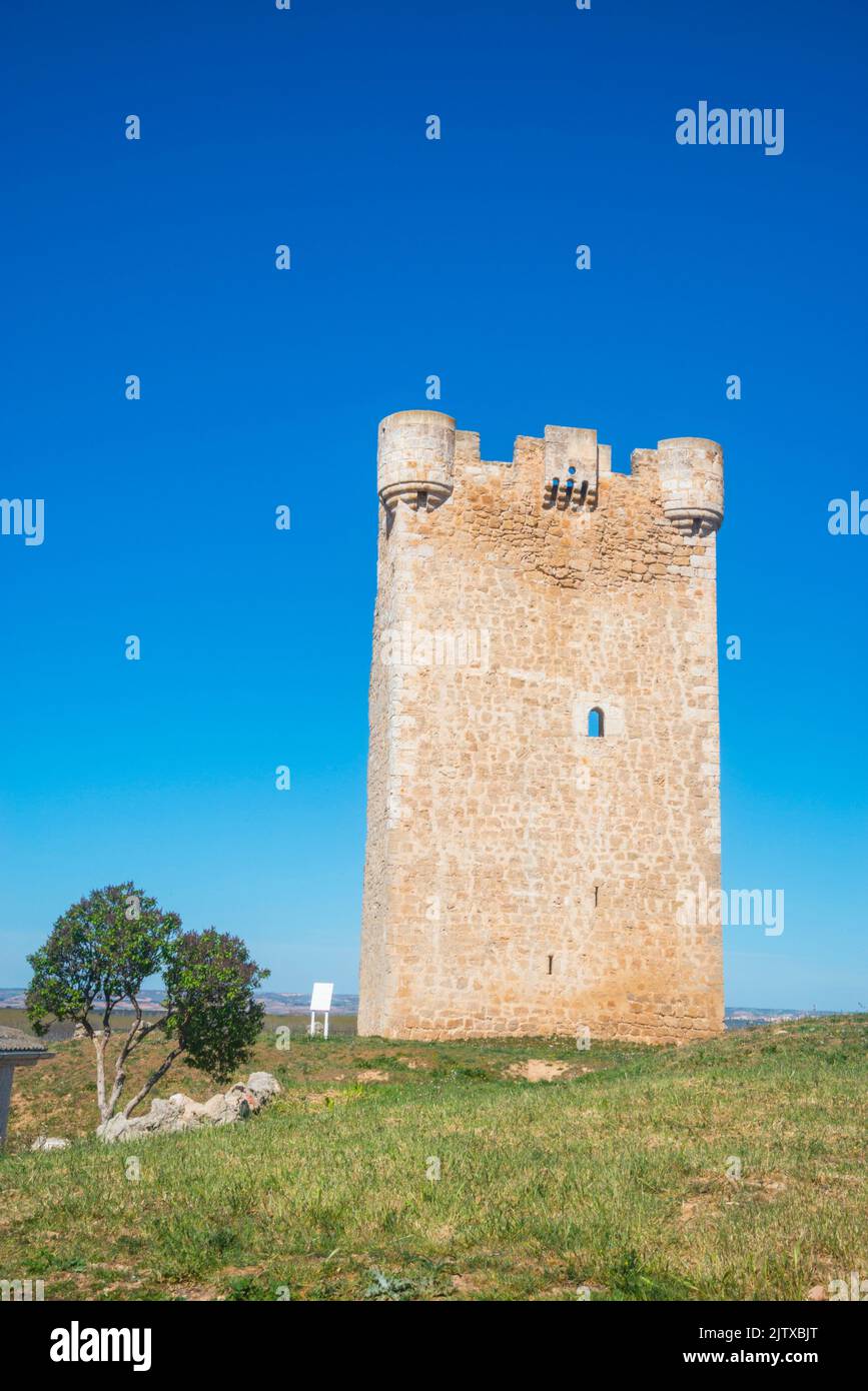 Hoyales Tower. Hoyales de Roa, Burgos province, Castilla Leon, Spain. Stock Photo