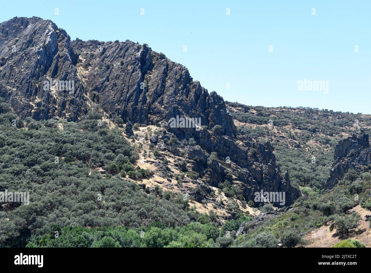 Armorican quartzites in Apreturas del Almonte. Villuercas-Ibores-Jara Geopark, Caceres, Exremadura, Spain. Stock Photo