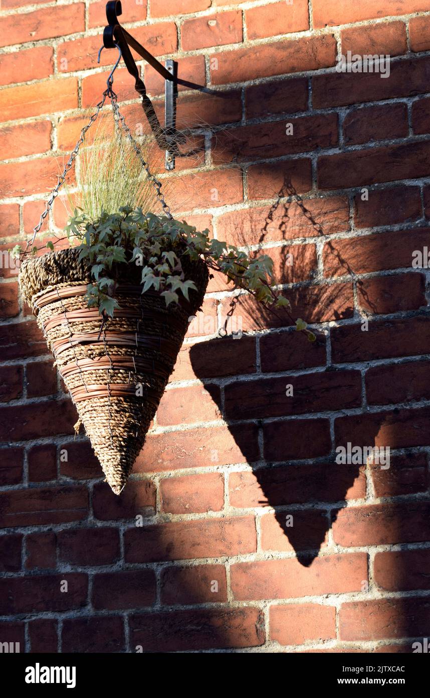Hanging basket in winter Stock Photo Alamy