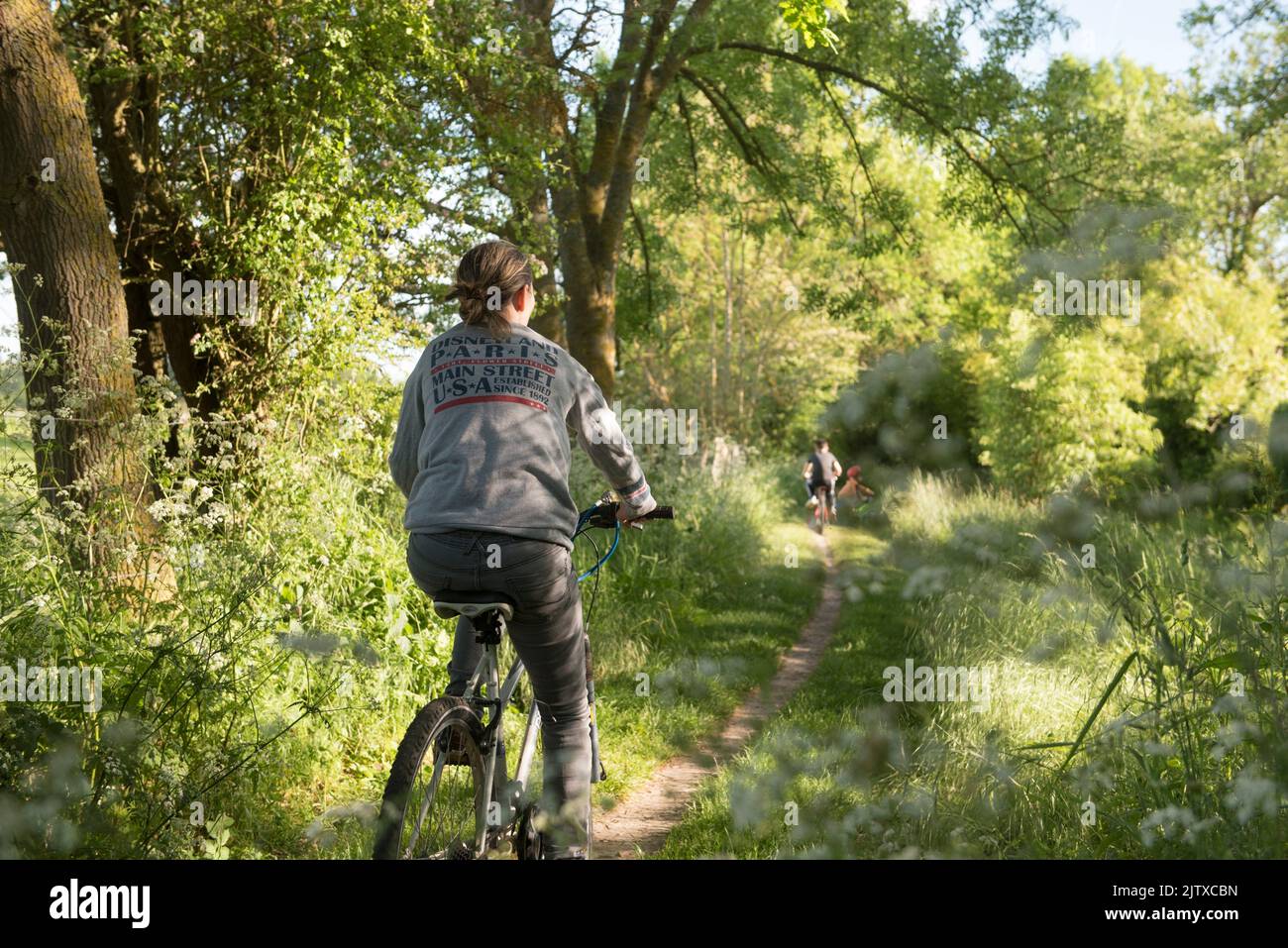 Cycliste sur un petit sentier de campagne borde d'ombelliferes en lisiere de foret, Departement d'Eure-et-Loir, region Centre-Val-de-Loire, France, Stock Photo