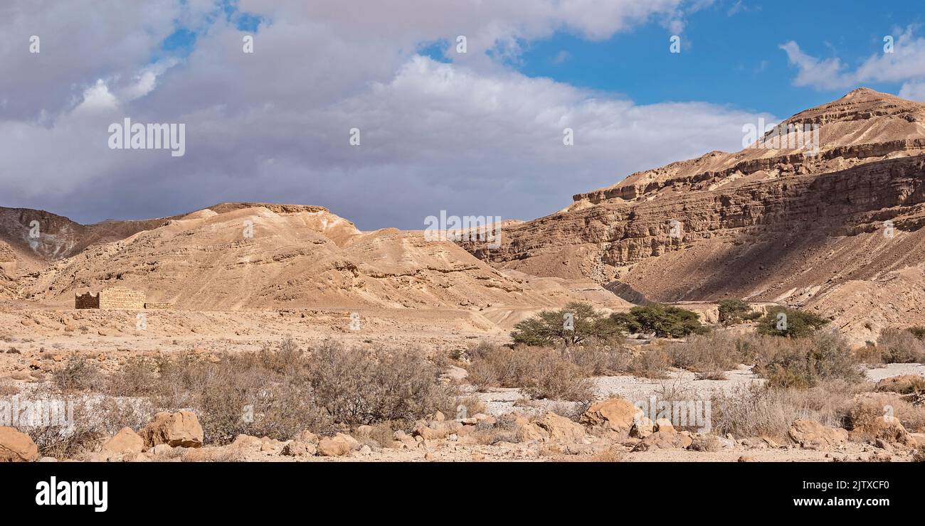 Nabatean Nekarot Fort is camouflaged above the wadi nahal Nekarot stream bed on the famous Spice Route in Israel near a grove of Acacia trees Stock Photo
