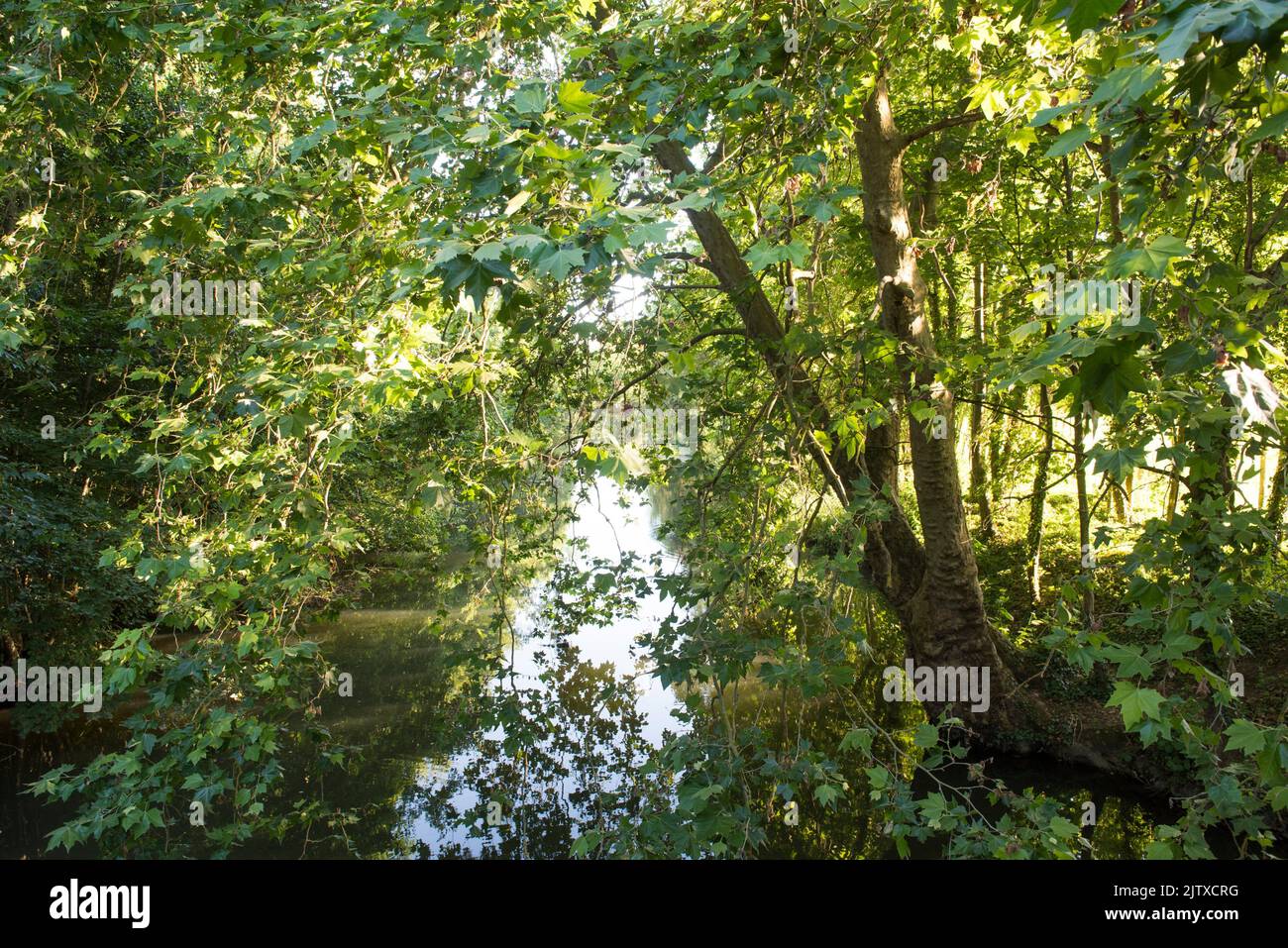 Eure river, Eure-et-Loir department, Centre-Val-de-Loire region, France, Europe. Stock Photo