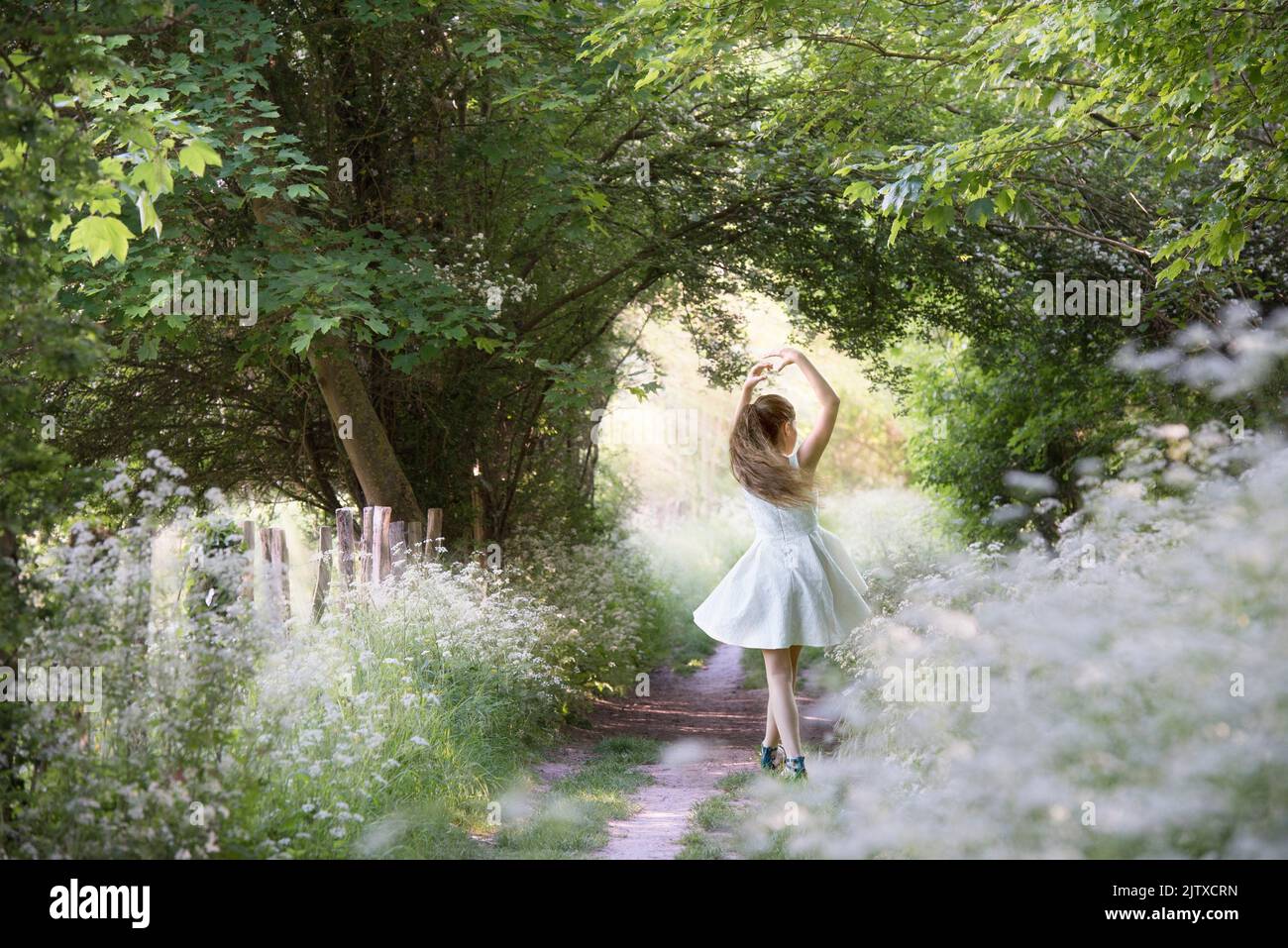 Girl performing a position (5th) of classical dance on a small country trail bordered by umbellifers on the edge of the forest, Eure-et-Loir Stock Photo