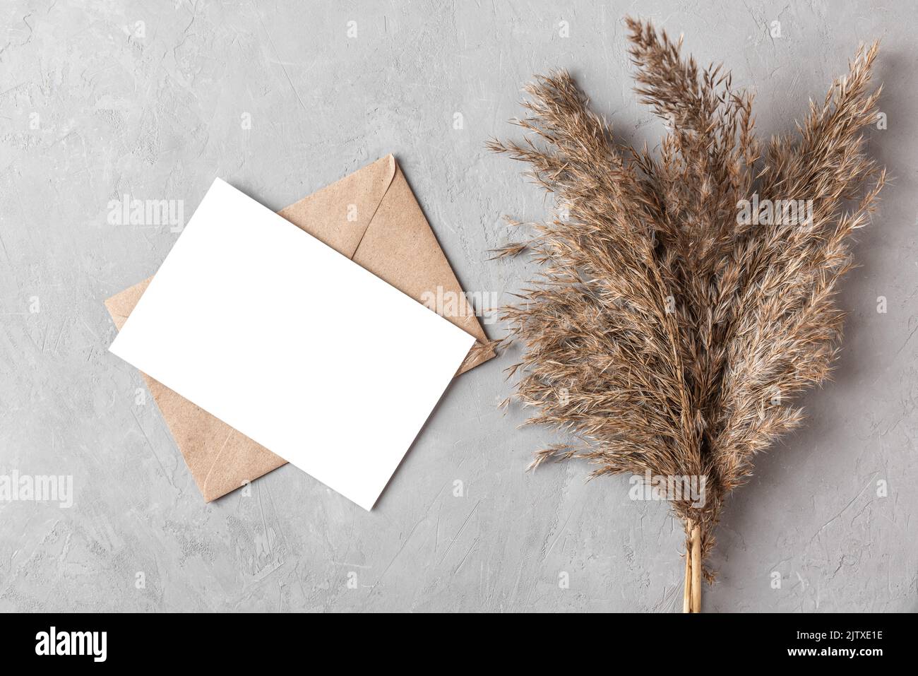 Autumn greeting card with dry cane reeds or pampas grass on gray background. Fall holiday concept. Flat lay. Mock up. Top view with copy space Stock Photo
