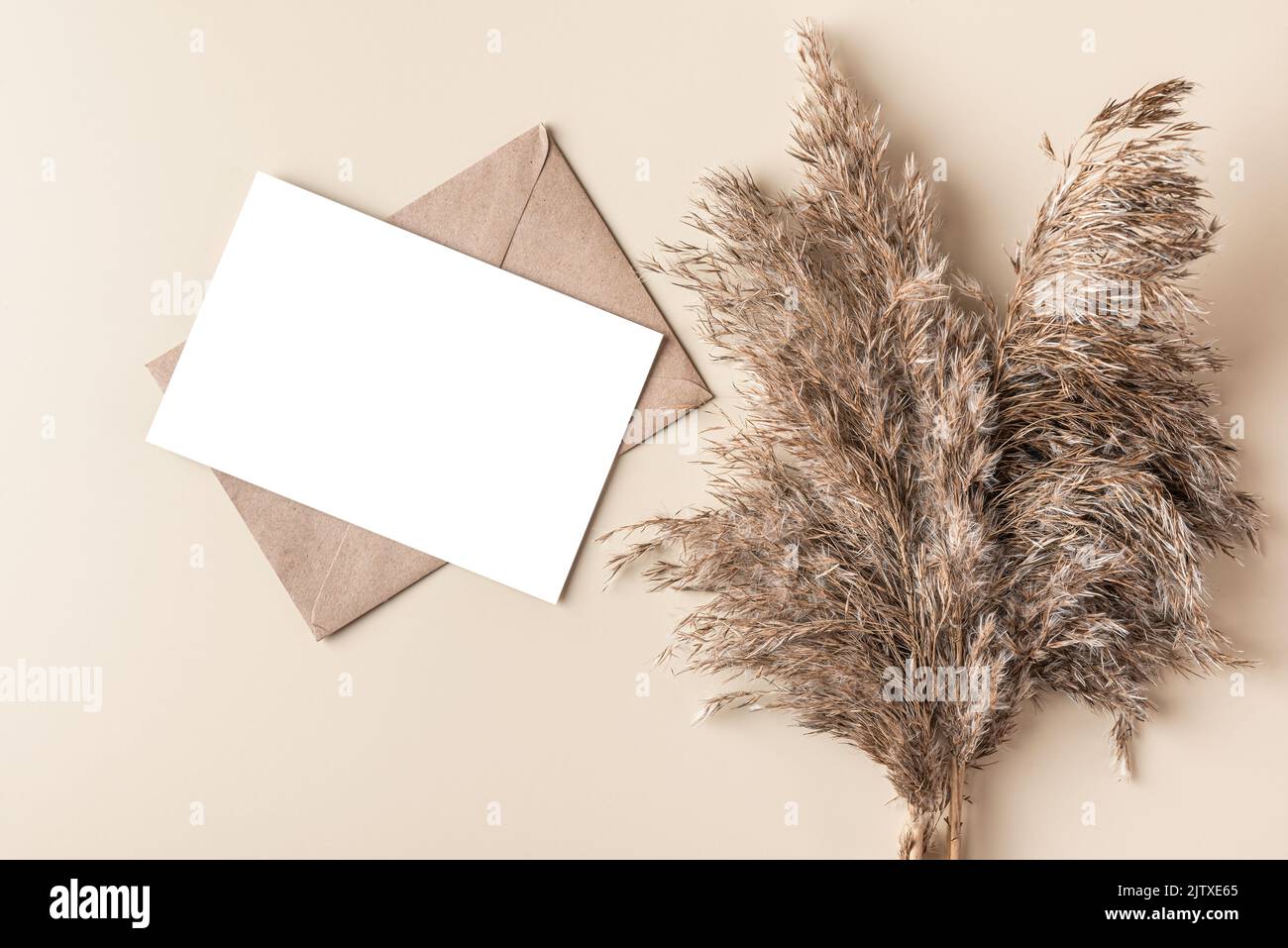 Blank greeting card with dry cane reeds or pampas grass on beige background. Flat lay. Mock up. Autumn background. Top view Stock Photo