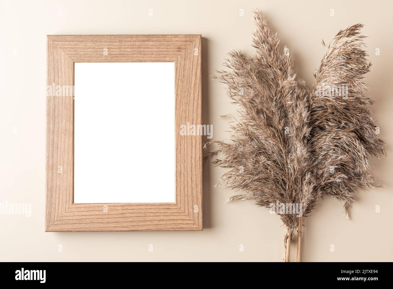 Blank photo frame with dry cane reeds or pampas grass on beige background. Flat lay. Mock up. Autumn background. Top view Stock Photo