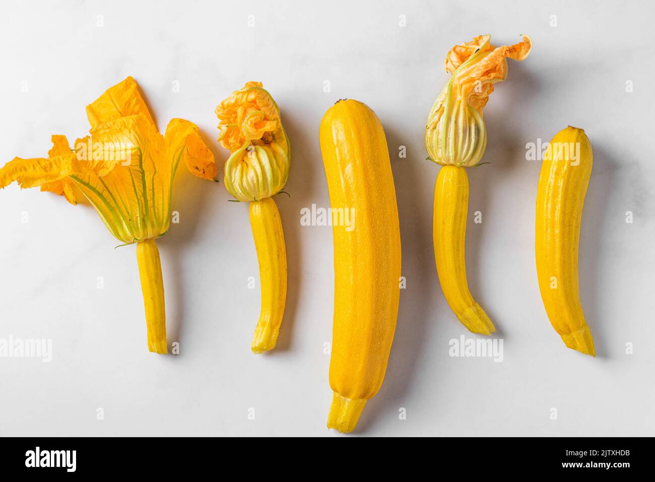 Fresh yellow zucchini or squash with flowers on white background. Top view. Organic vegan food. Fresh harvested vegetables. Stock Photo
