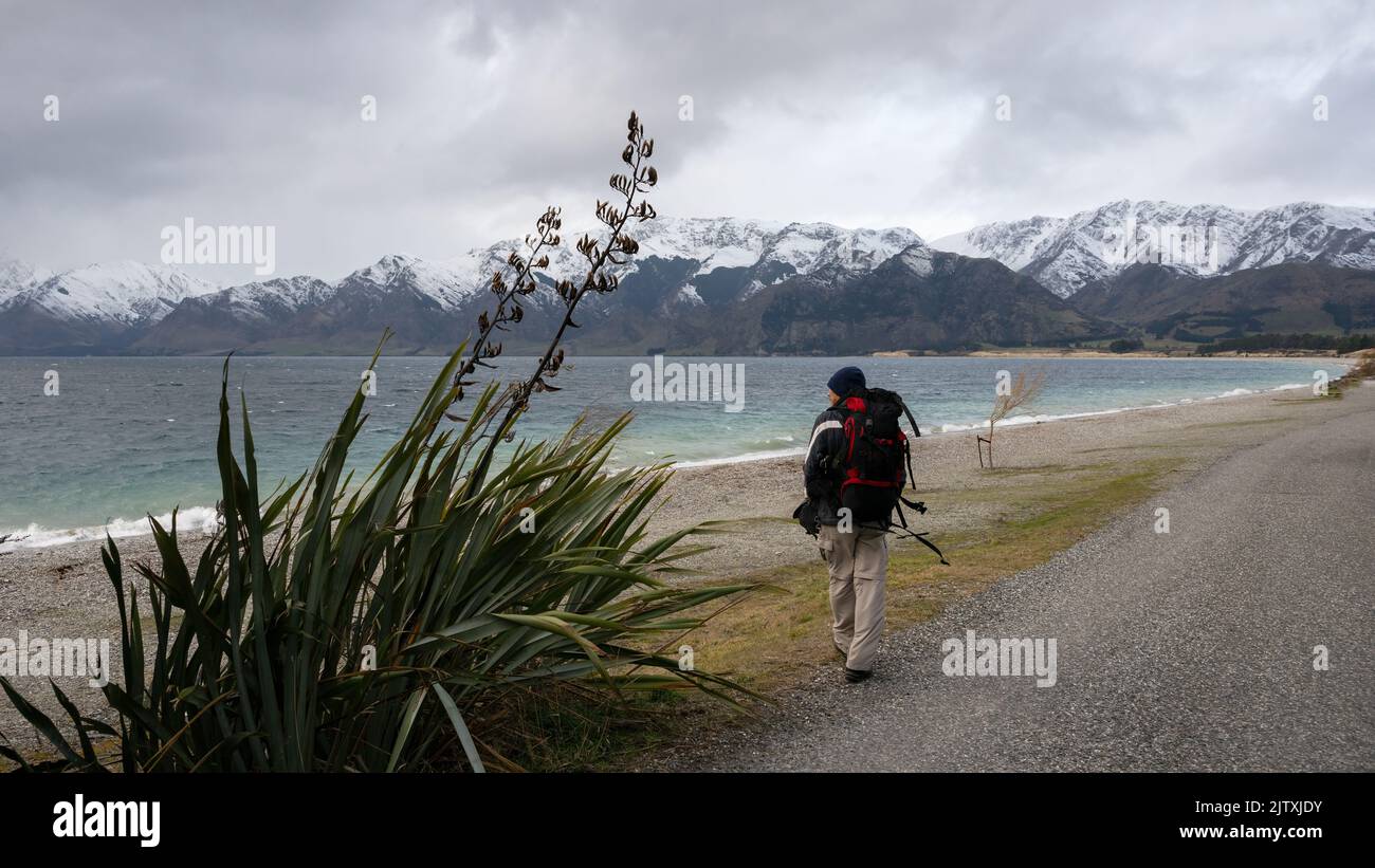 Man walking on the shore of lake Hawea in strong wind. Snow-capped mountains in the background, South Island. Stock Photo