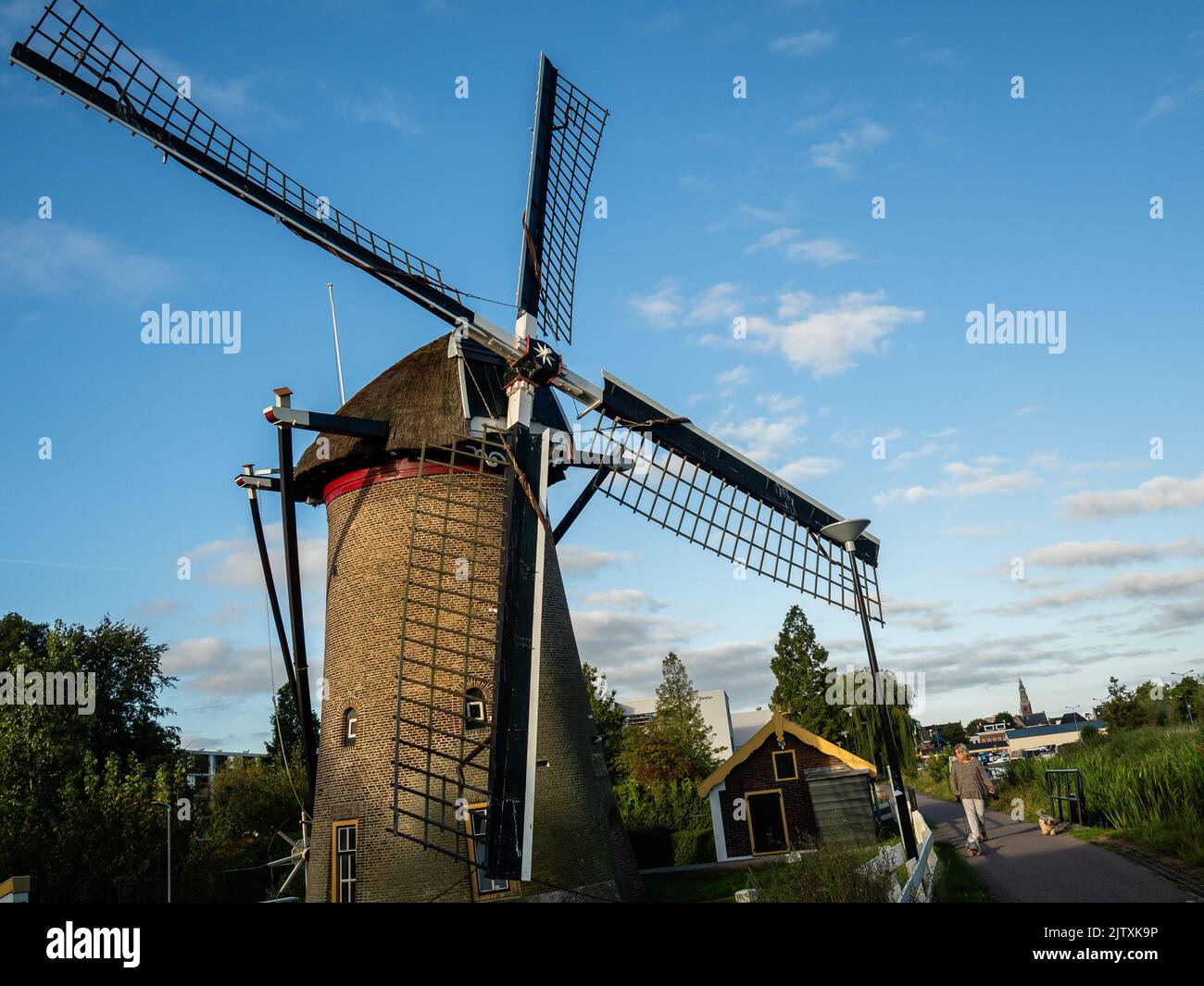 Maasluis, Netherlands. 28th Aug, 2022. A woman is seen walking her dog ...