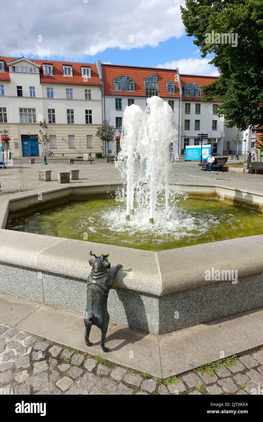 jobangebote brandenburg an der havel