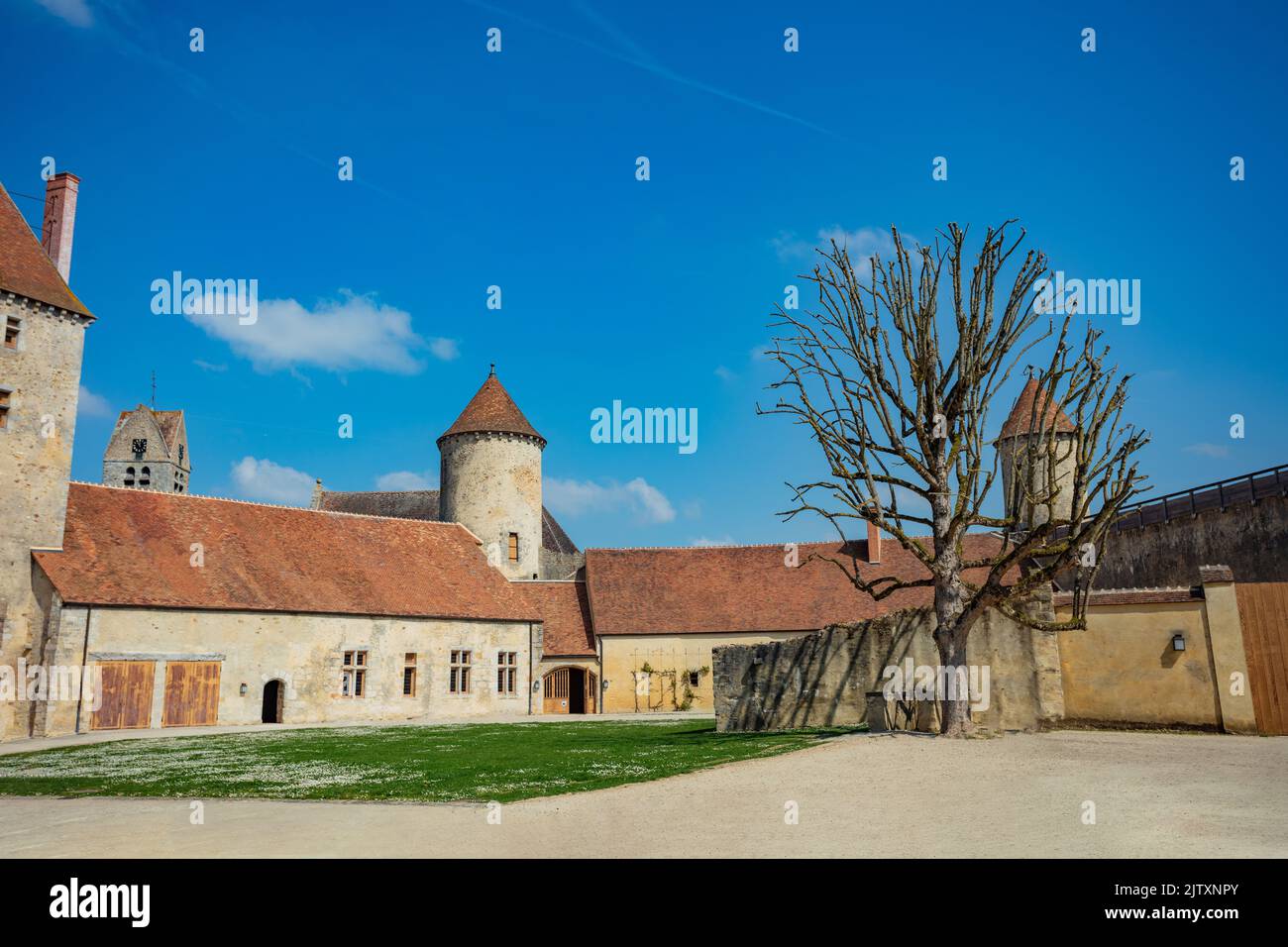 Old tree in internal court Blandy-les-Tours medieval castle Stock Photo