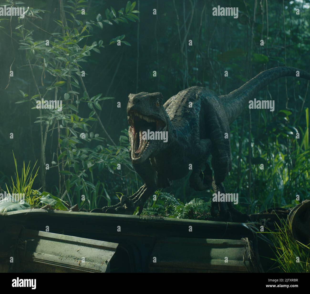 Jurassic world movie blue hi-res stock photography and images - Alamy