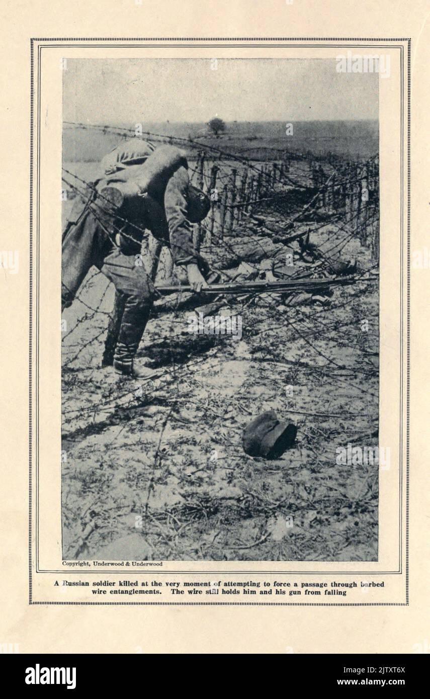 A Russian soldier killed at the very moment of attempting to force a passage through barbed wire entanglements. The wire still holds him and his gun from falling from the book The story of the great war; the complete historical records of events to date DIPLOMATIC AND STATE PAPERS by Reynolds, Francis Joseph, 1867-1937; Churchill, Allen Leon; Miller, Francis Trevelyan, 1877-1959; Wood, Leonard, 1860-1927; Knight, Austin Melvin, 1854-1927; Palmer, Frederick, 1873-1958; Simonds, Frank Herbert, 1878-; Ruhl, Arthur Brown, 1876-  Published 1920 Stock Photo