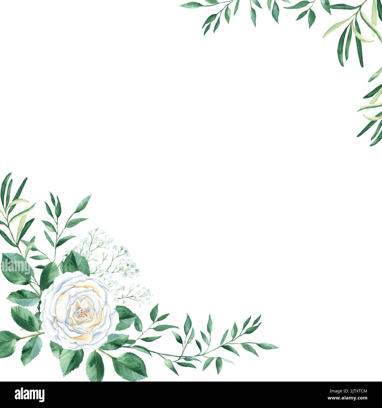 White Roses Frame Square Watercolor square frame with white roses, gypsophila and rustic ...