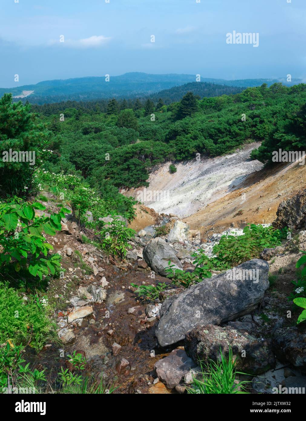 landscape with geothermal mineralized stream on the slope of the Mendeleev volcano, Kunashir island Stock Photo