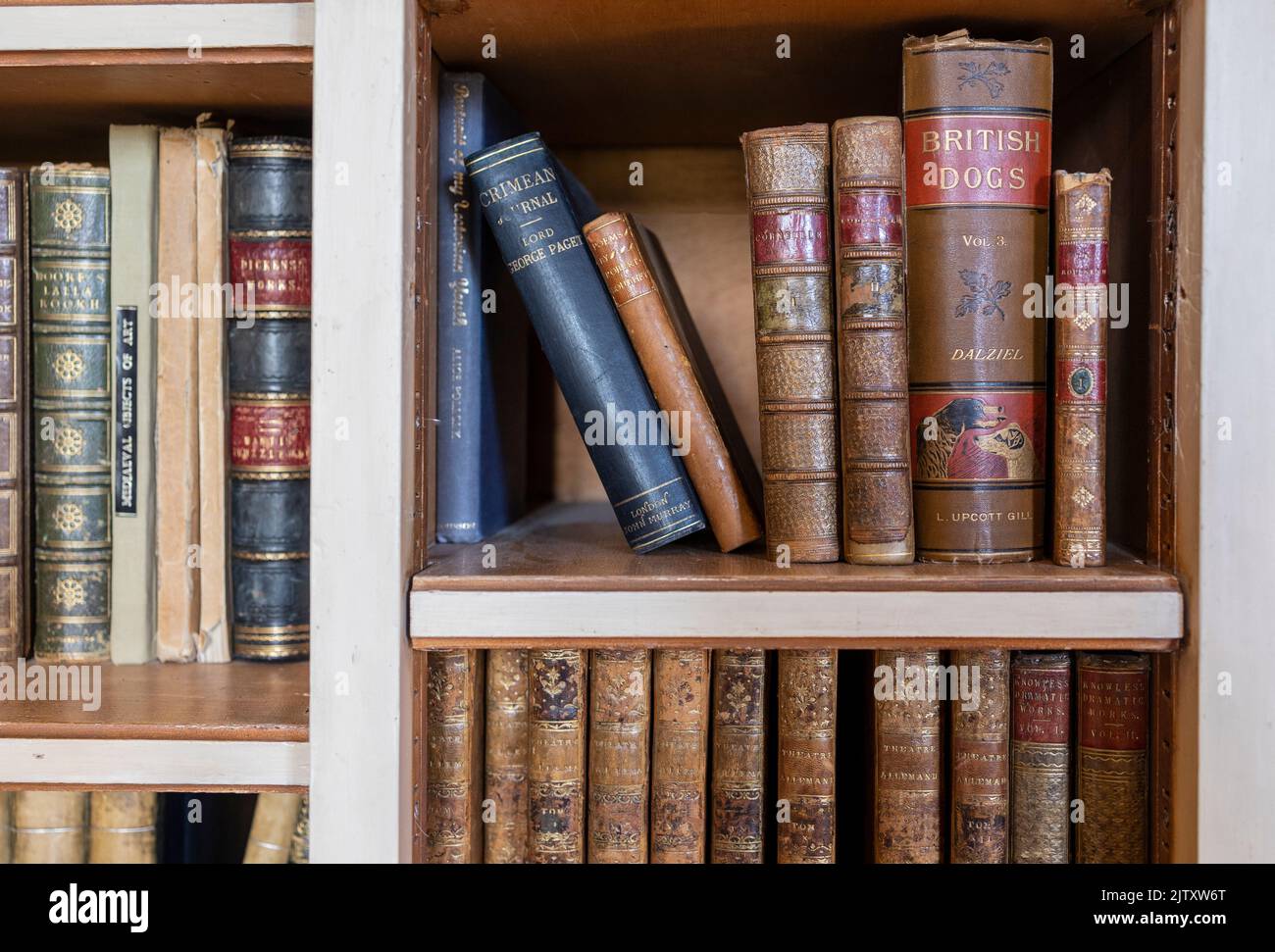 Old books on wooden shelf. wooden Bookshelf background. Concept on the
