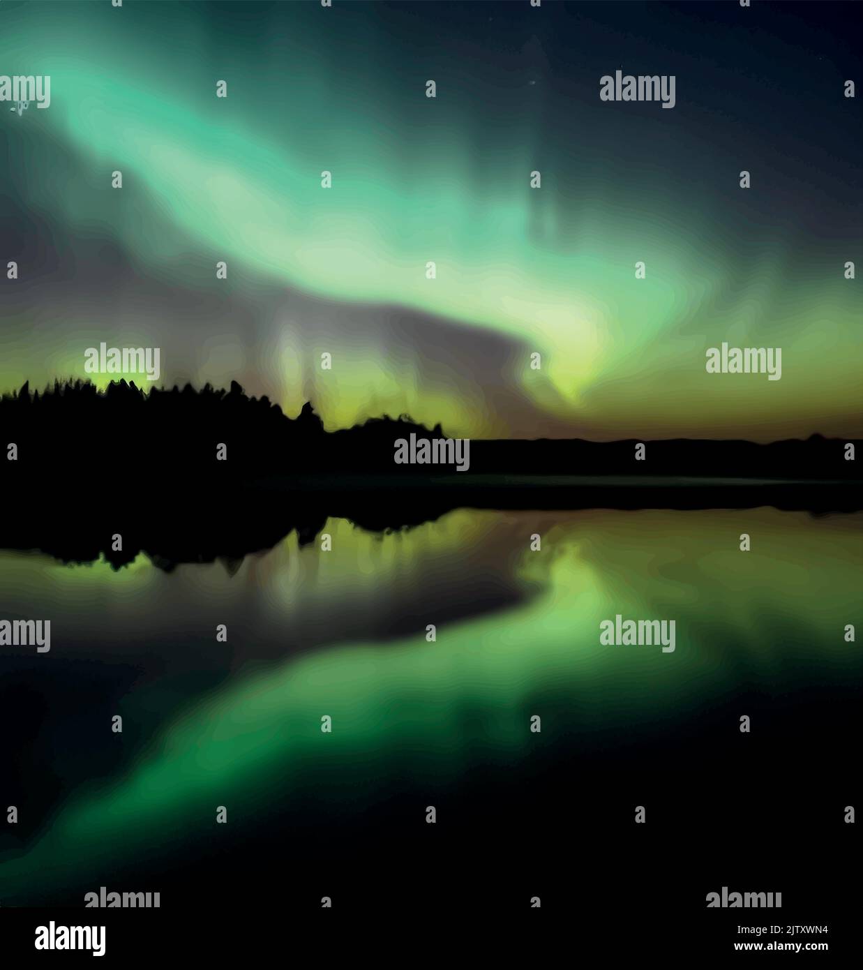 Northern lights, forest, lake and reflection Stock Vector Image & Art