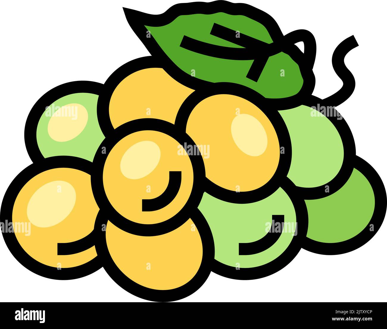 green grape wine color icon vector illustration Stock Vector Image ...