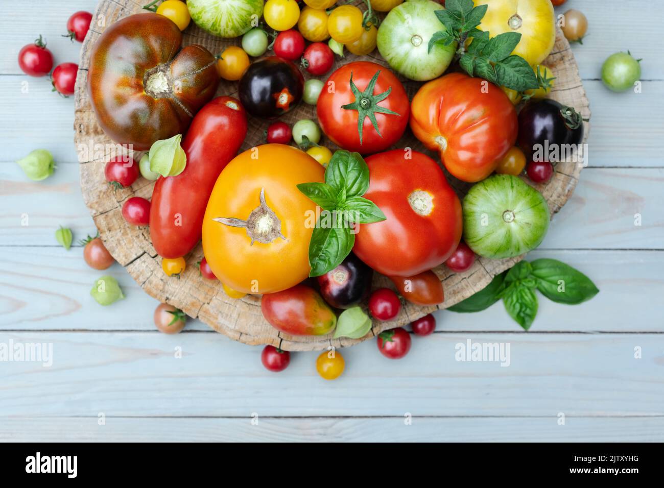 Different varieties kind of red, yellow, green and black tomato mix on wooden table. Fresh assorted colorful summer tomatoes background, close up. Food photography Stock Photo