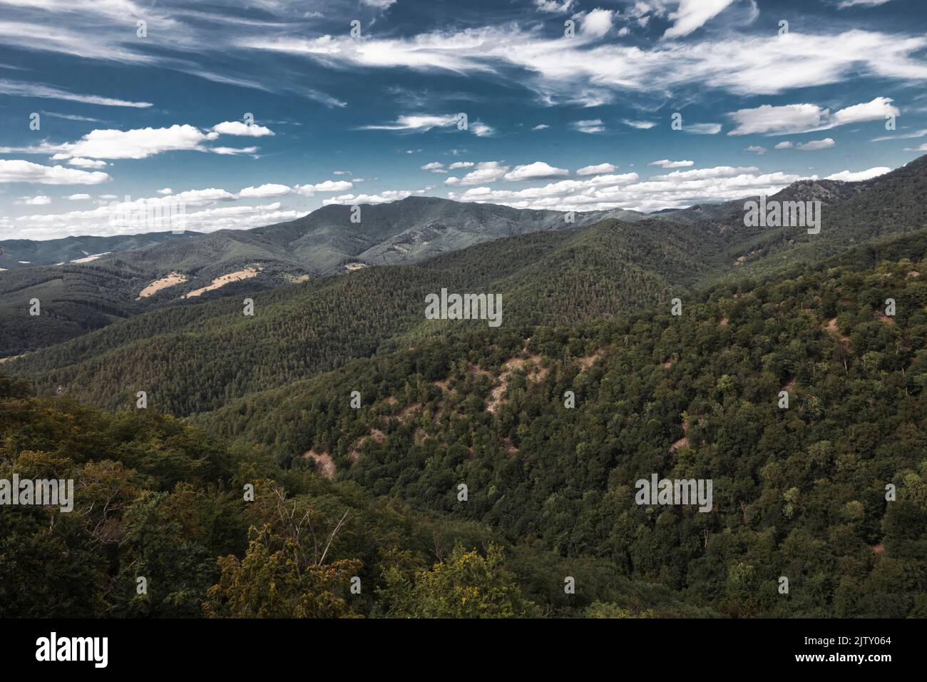 Landscape of the mountains covered by dense forest Stock Photo - Alamy