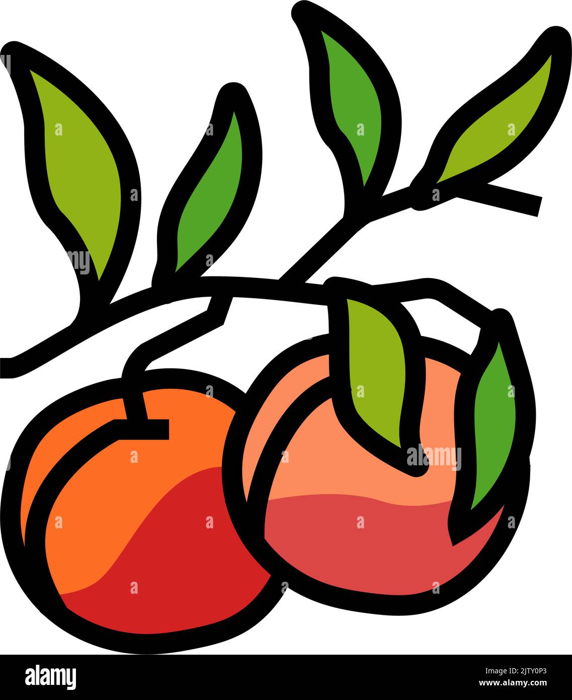 plant branch nectarine color icon vector illustration Stock Vector ...