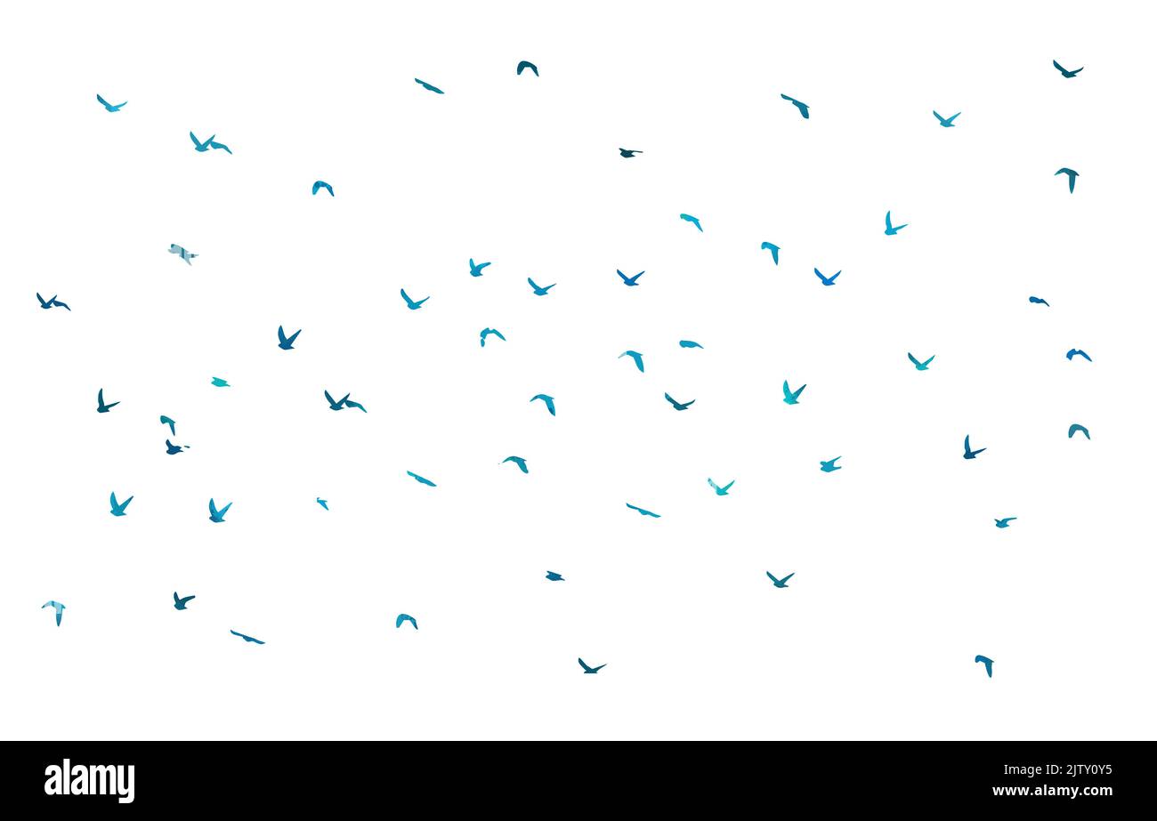 Bird watercolor. A flock of blue birds. Mixed media. Vector