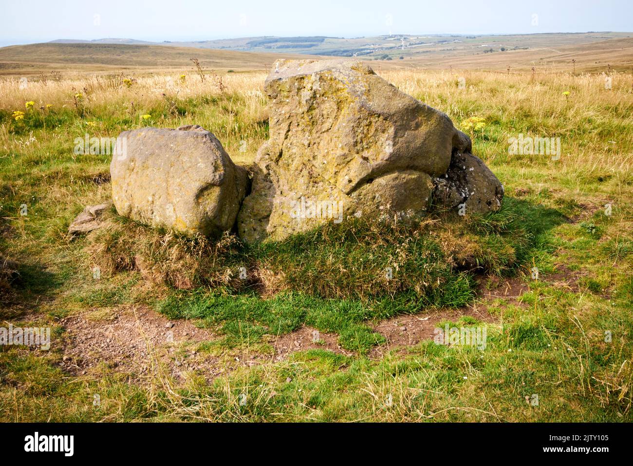 The bobby stone glacial erratic on Black mountain in divis and black mountain belfast hills range belfast northern ireland Stock Photo
