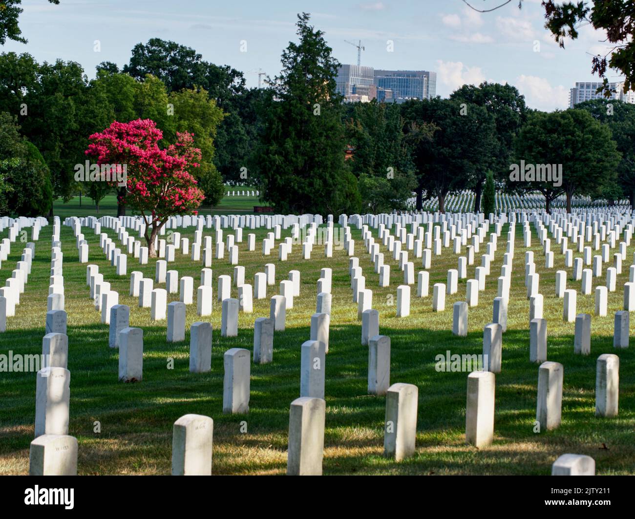 Disposizione geometrica hi res stock photography and images Alamy