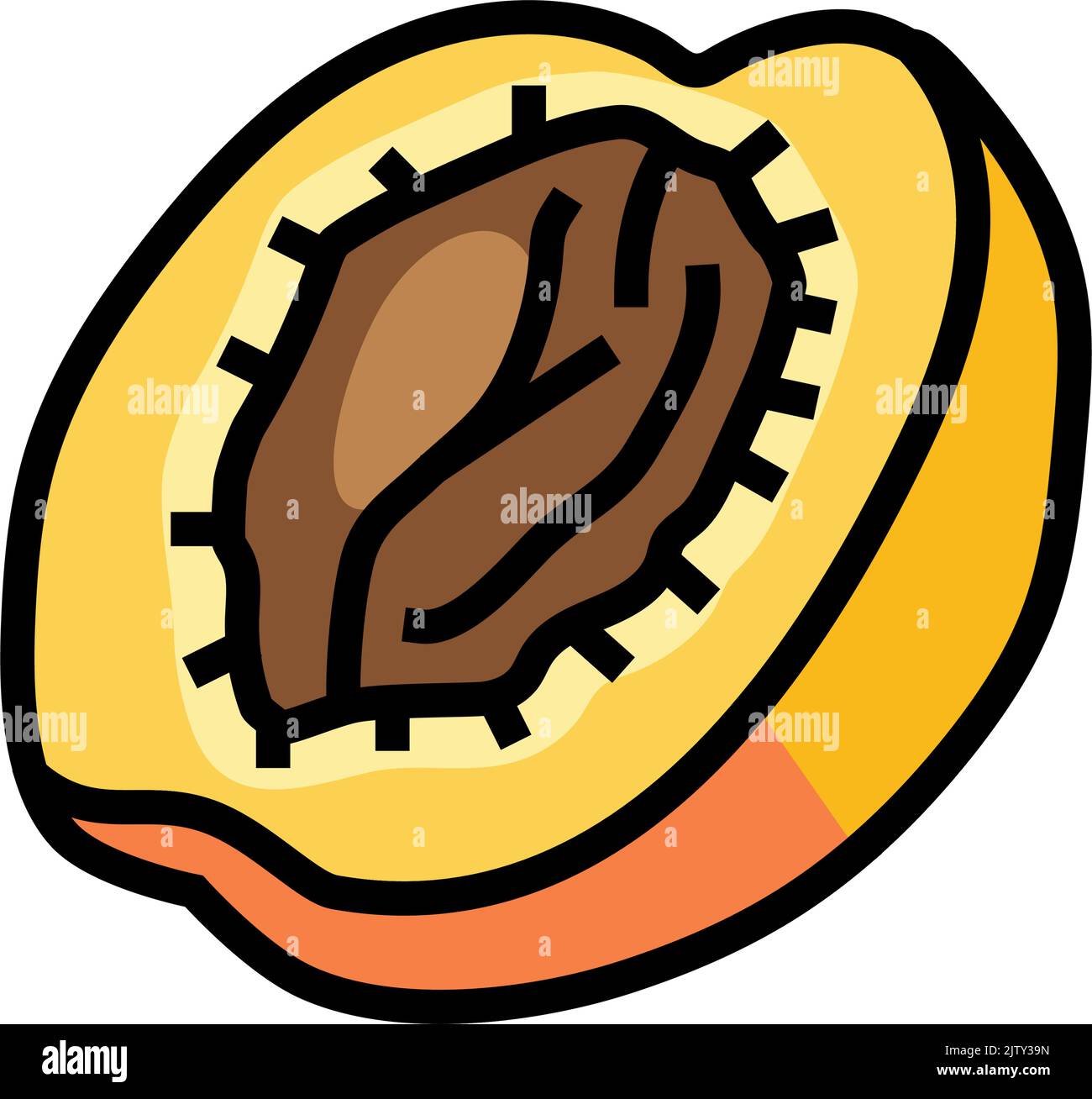 Cut Apricot Fruit Color Icon Vector Illustration Stock Vector Image cut-apricot-fruit-color-icon-vector-illustration-stock-vector-image
