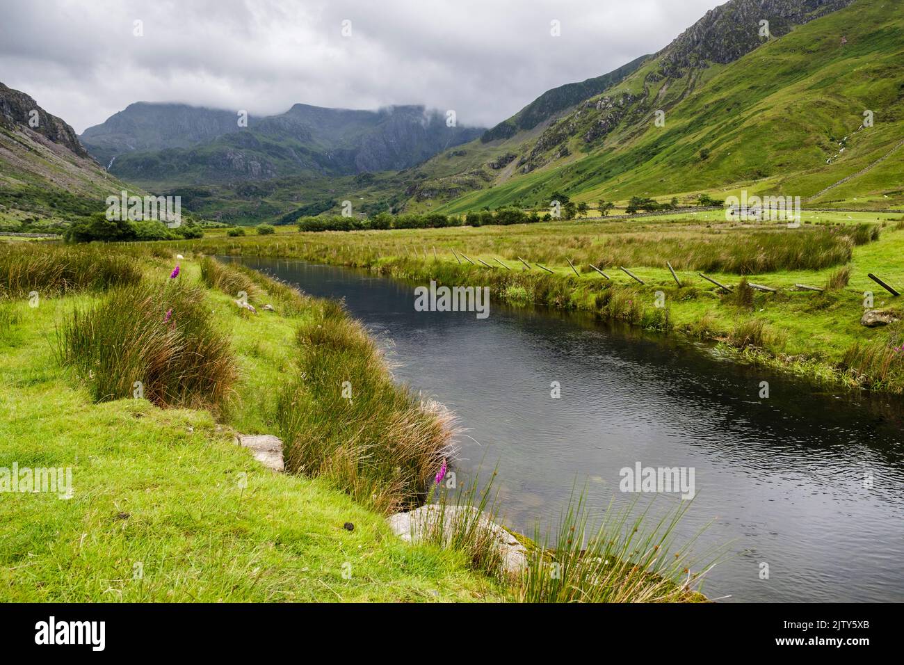 View to Glyderau mountains in low cloud along Afon Ogwen River in Nant Ffrancon valley in Snowdonia National Park. Bethesda, Gwynedd, North Wales, UK Stock Photo