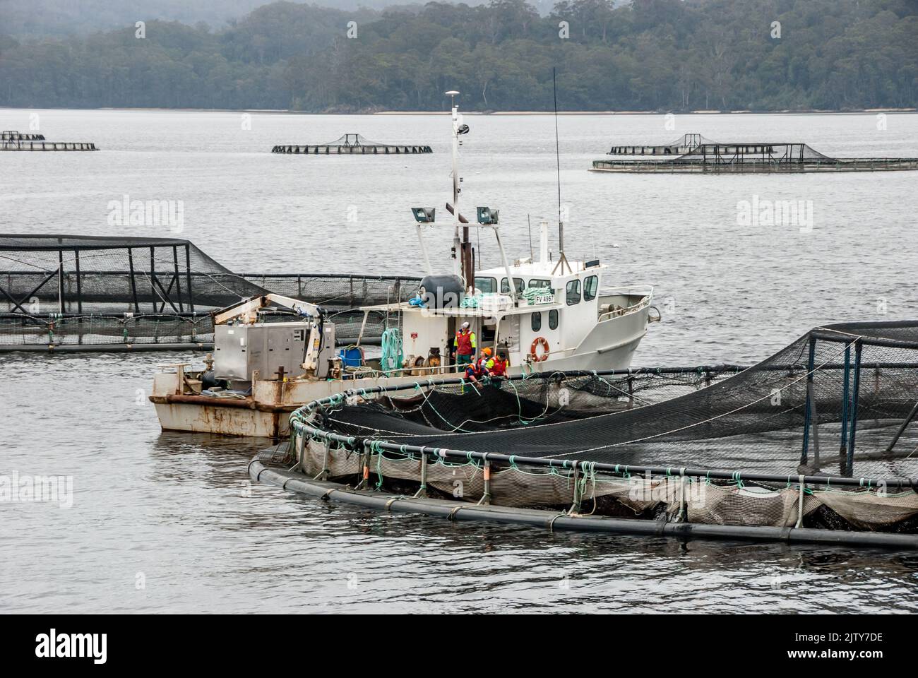 Tuna Farms in Macquarie Harbour Tasmania Stock Photo Alamy