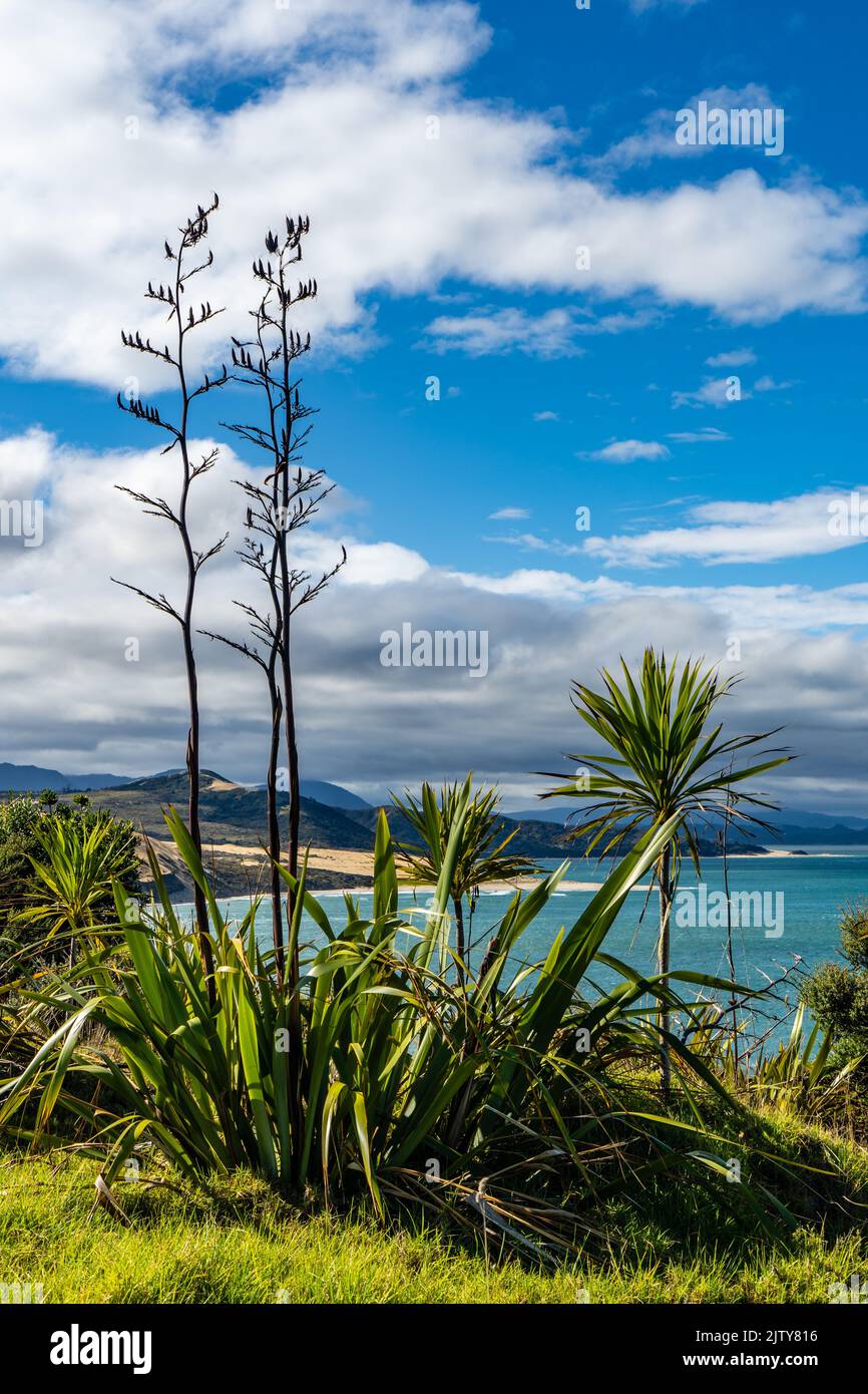 Omapere Lookout Stock Photo