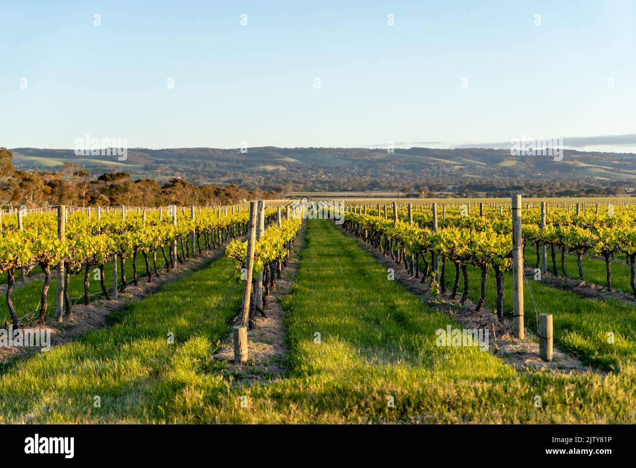 Hunter Valley