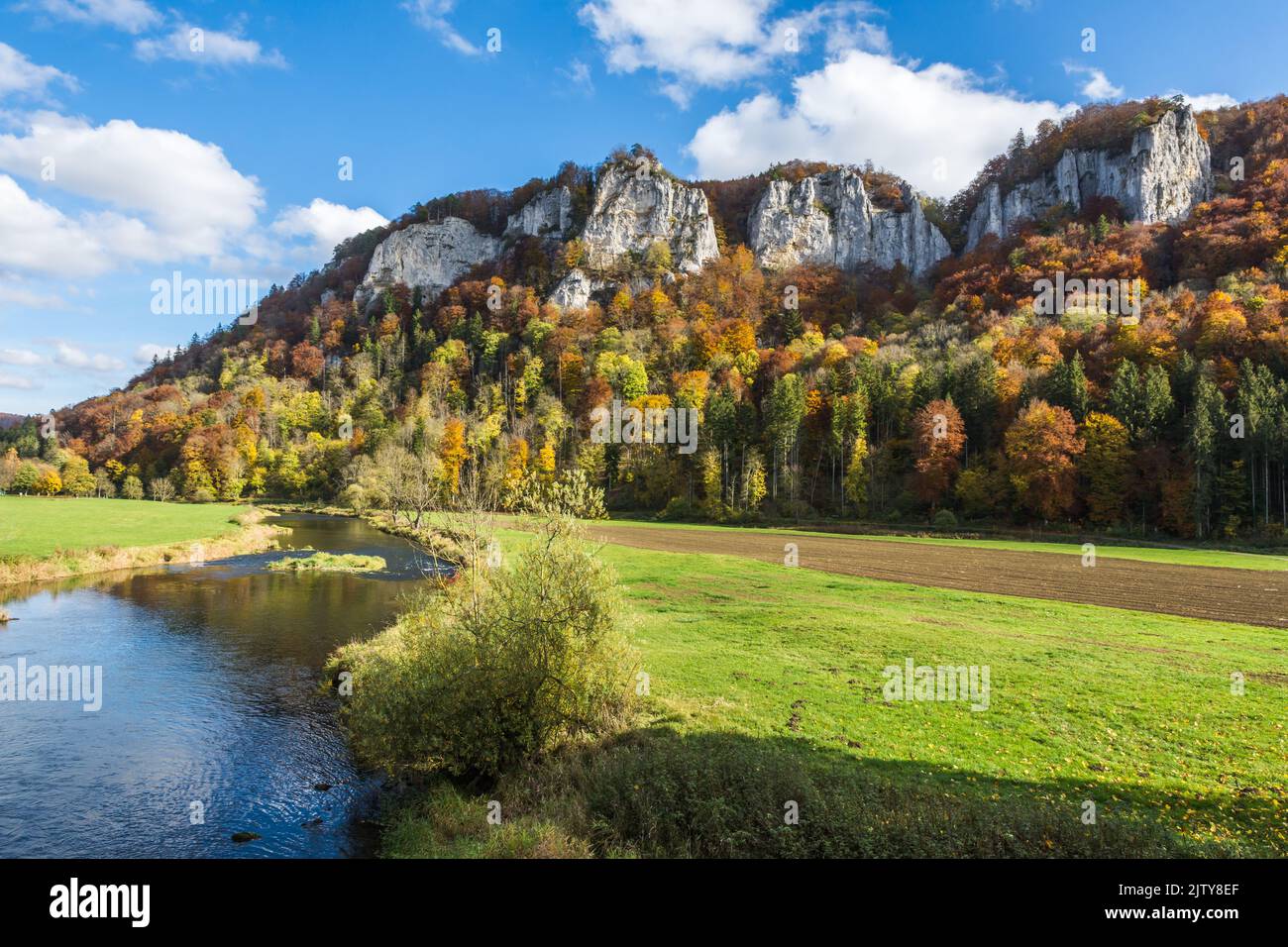 View across the danube to the Hausener Zinnen in autumn, Upper Danube Nature Park, Swabian Alb, Baden-Wuerttemberg, Germany Stock Photo