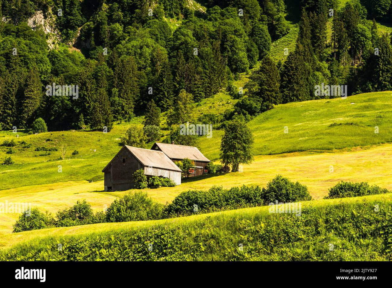 Pastures and wooden huts in the Swiss Alps, Toggenburg, Canton St. Gallen, Switzerland Stock Photo