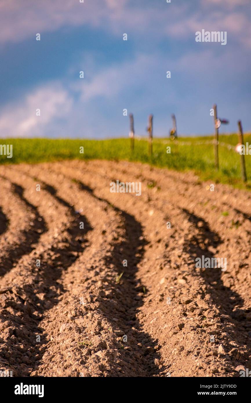 Vertical shot cultivated land hi-res stock photography and images - Alamy