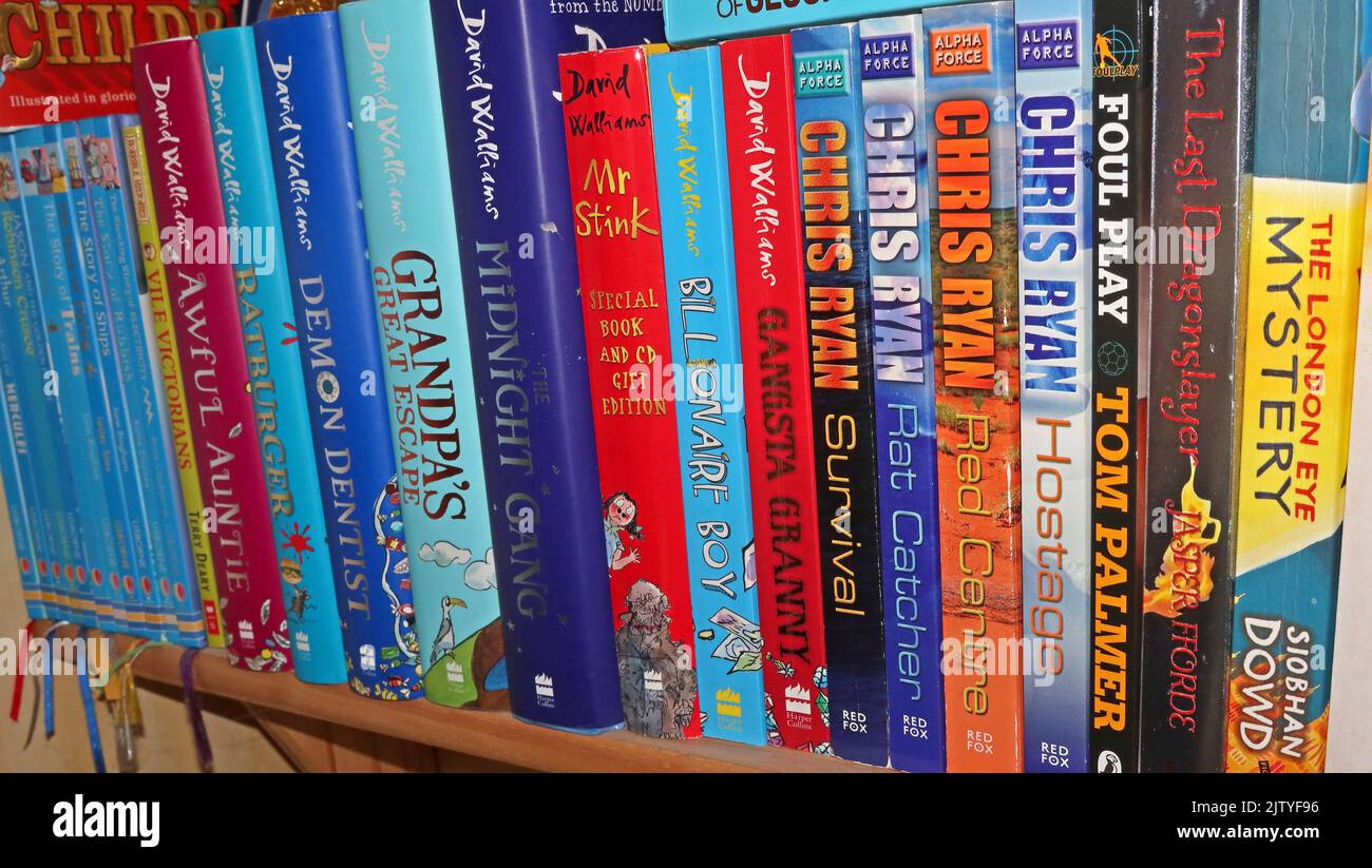 A childs bookshelf of teenage reading, childrens authors, David Walliams, Chris Ryan, Tom Palmer and Siobhan Dowd Stock Photo