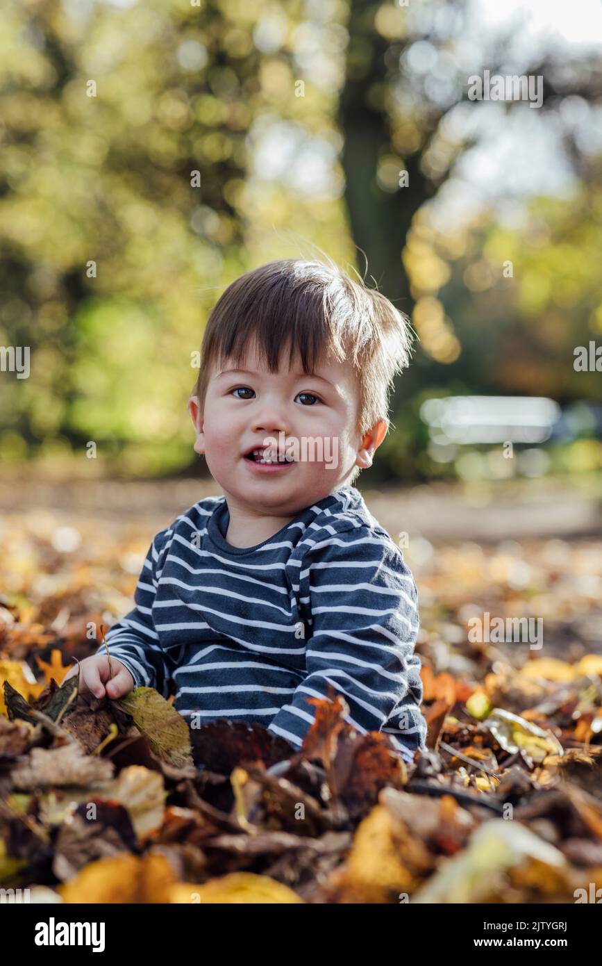 A young mixed race baby boy sitting on the ground in nature in Northumberland, North East England. He is playing with fallen leaves in Autumn while lo Stock Photo