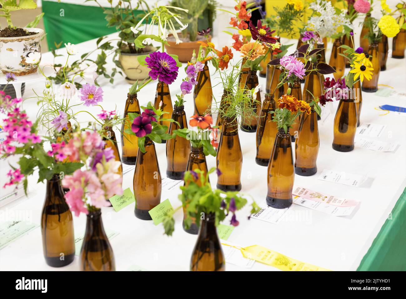 Annual flowers competition at the Minnesota State Fair in St. Paul, Minnesota Stock Photo Alamy