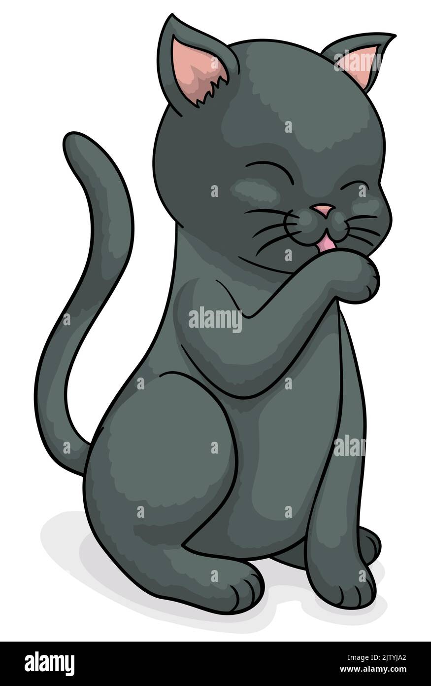 Cat sucking cheap paw